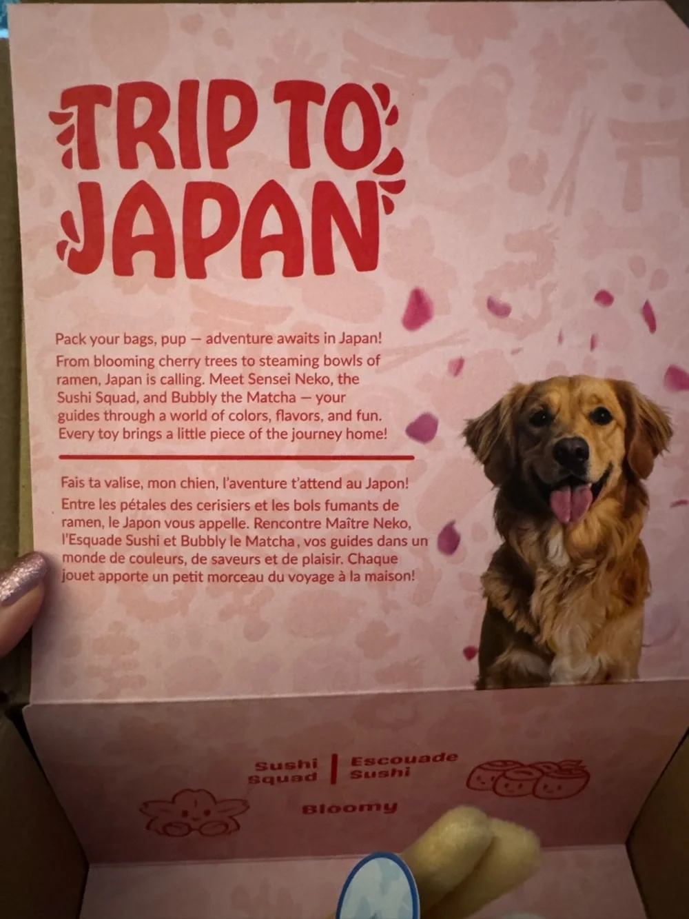 Woof Pack Trip to Japan box L dog toys NEW Miso ramen & matcha sip mug NEW W/tag